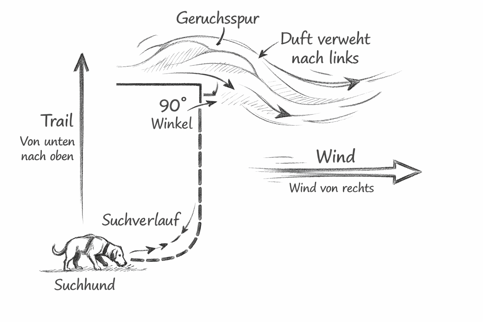 Wie verhält sich der Geruch bei Wind und was du daraus lehren kannst